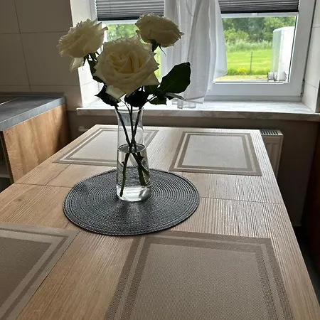 Nad Drweca Hostel Nowe Miasto Lubawskie