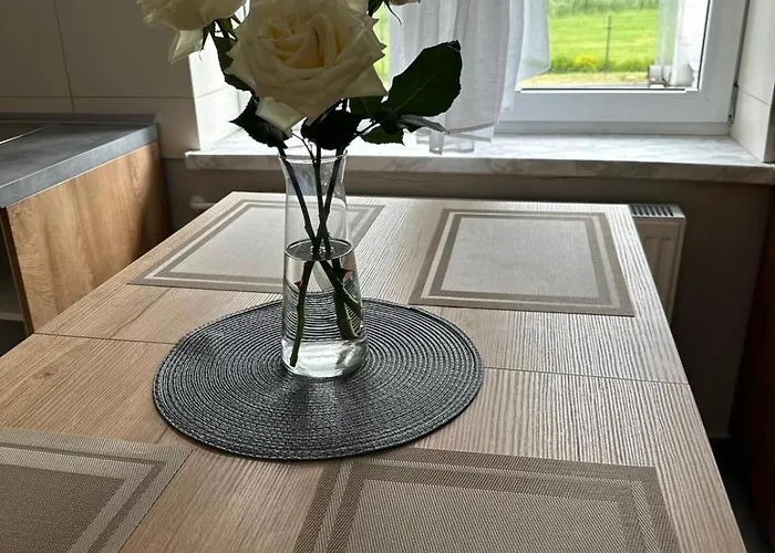 Nad Drweca Hostel Nowe Miasto Lubawskie