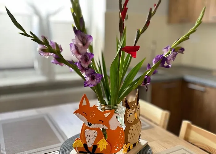 Nad Drweca Hostel Nowe Miasto Lubawskie