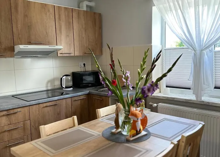 Nad Drweca Nowe Miasto Lubawskie